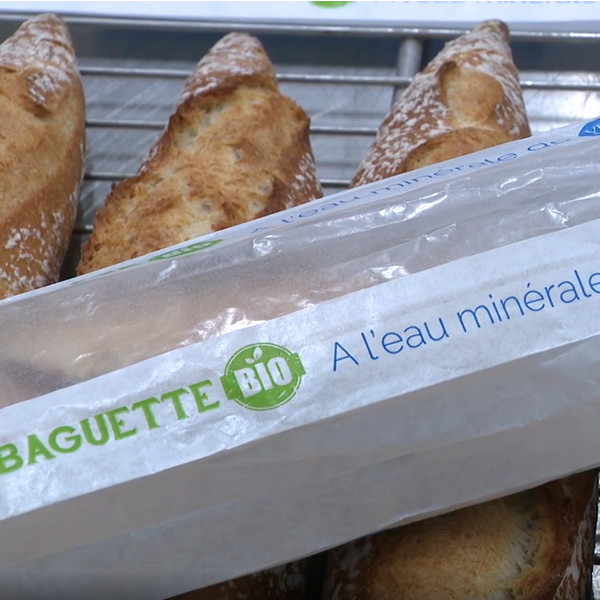 Reportage France 3 Bourgogne Franche Comte : baguette bio à l'eau minérale de Velleminfroy